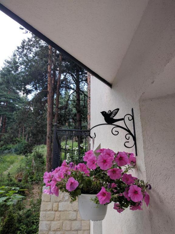 Bendida Apartments Велинград Экстерьер фото
